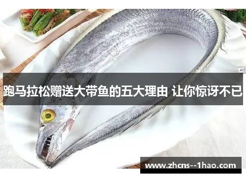 跑马拉松赠送大带鱼的五大理由 让你惊讶不已