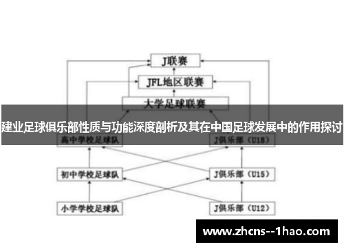 建业足球俱乐部性质与功能深度剖析及其在中国足球发展中的作用探讨 建业足球俱乐部性质与功能深度剖析及其在中国足球发展中的作用探讨