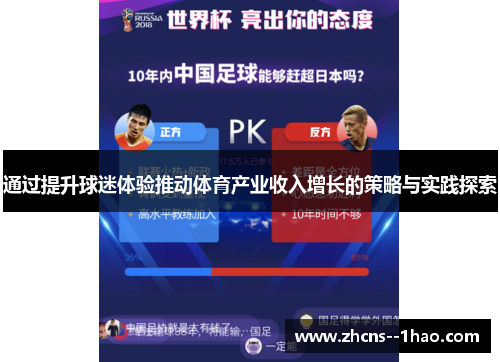 通过提升球迷体验推动体育产业收入增长的策略与实践探索