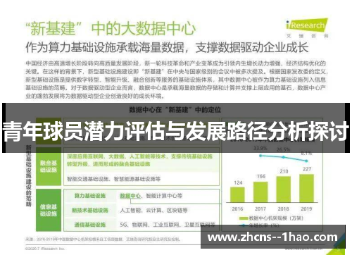青年球员潜力评估与发展路径分析探讨